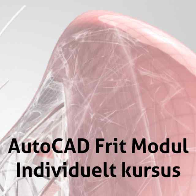 AutoCAD Firma Specifikt individuelt CAD kursus